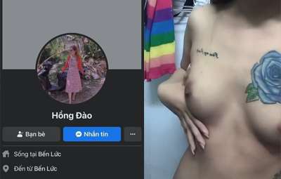 hong-dao-ben-luc-bong-hong-xanh-co-don